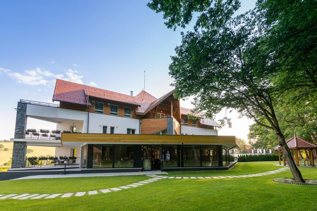 Panorama Boutique Hotel Sfântu-Gheorghe Εξωτερικό φωτογραφία