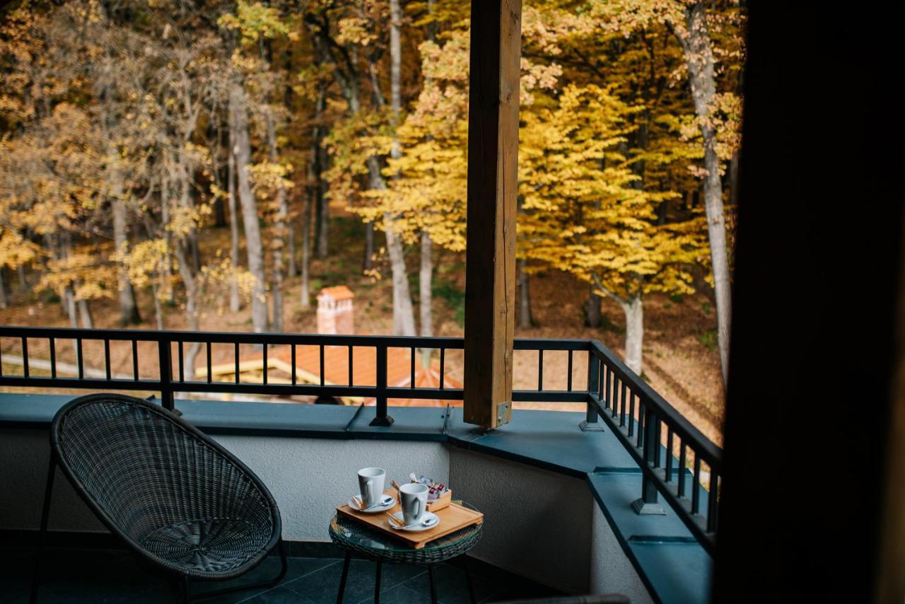 Panorama Boutique Hotel Sfântu-Gheorghe Εξωτερικό φωτογραφία